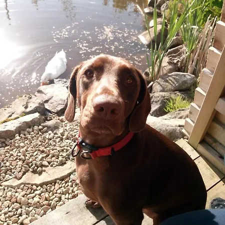 Apartment The Pod Unique & Stylish Luxury With Hot Tub *