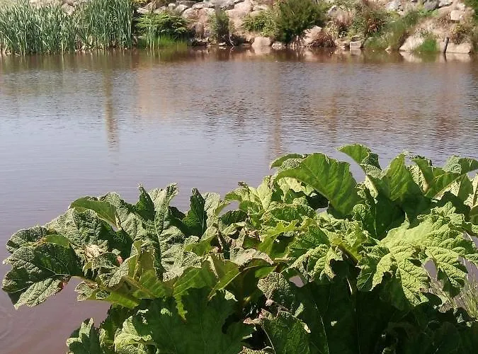 The Pod Unique & Stylish Luxury With Hot Tub Apartament *