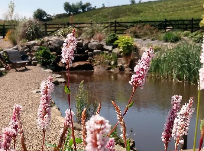 Apartament The Pod Unique & Stylish Luxury With Hot Tub *