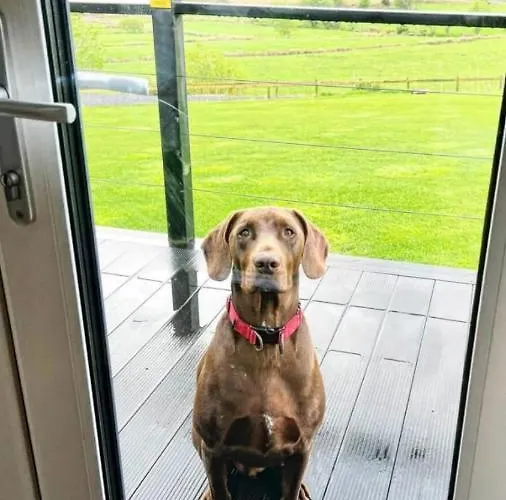 Apartament The Pod Unique & Stylish Luxury With Hot Tub *