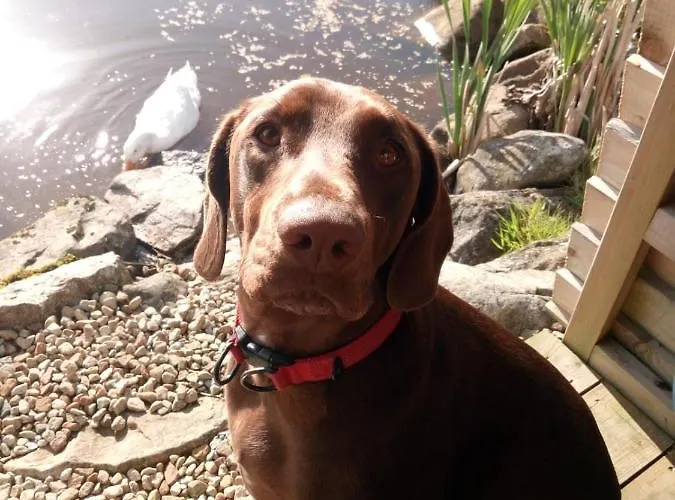 Apartment The Pod Unique & Stylish Luxury With Hot Tub *